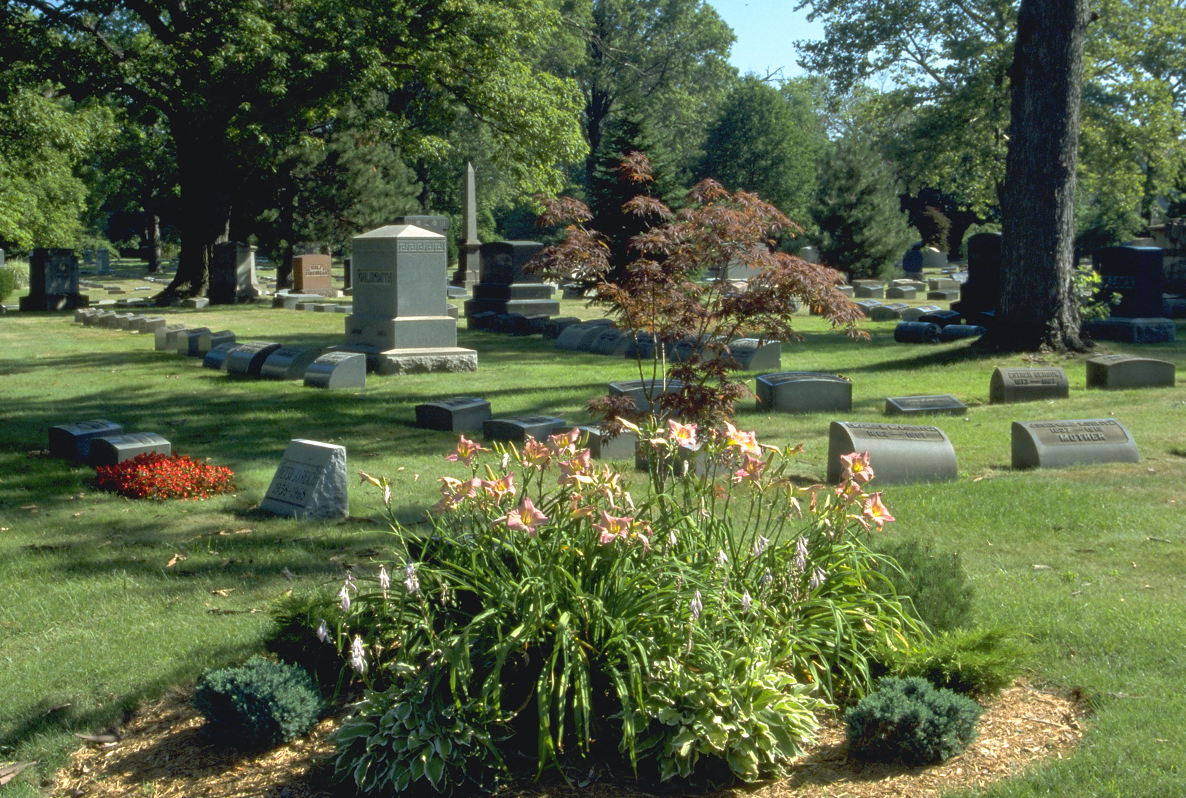 United Jewish Cemeteries Garden 2