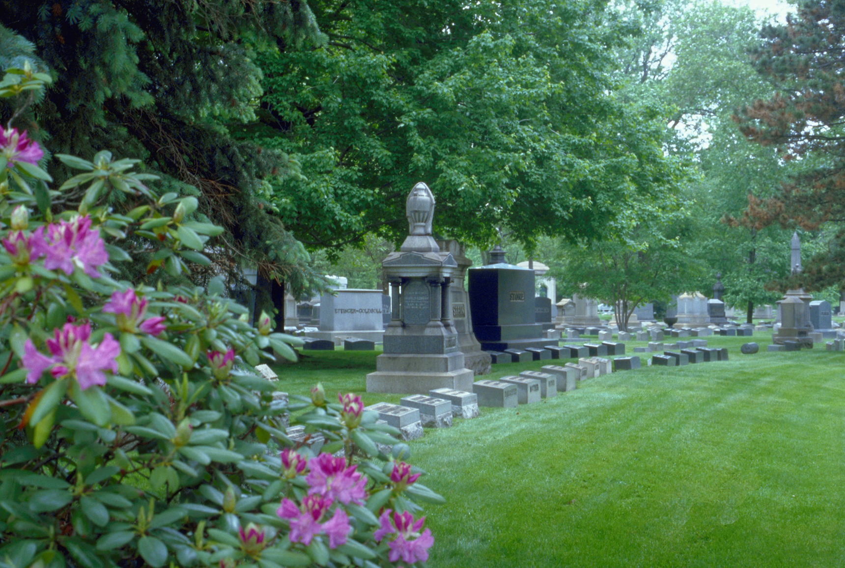 United Jewish Cemeteries Garden